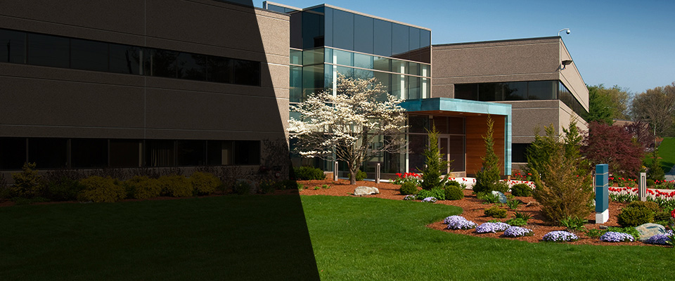 Cambridge Springs Landscapers