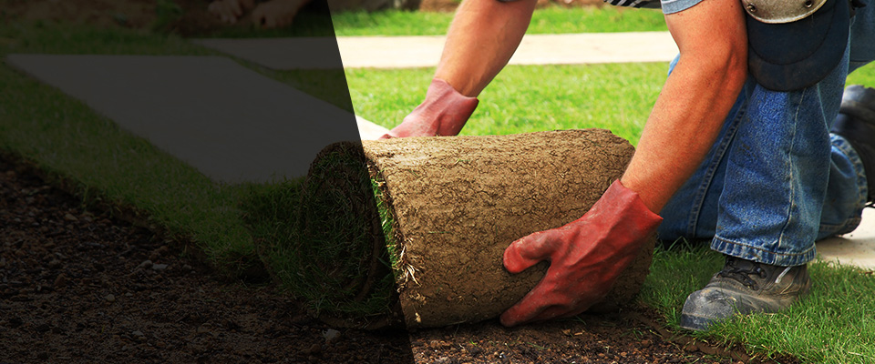 Cambridge Springs Landscapers